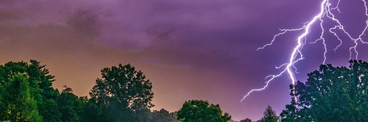 pexels-dave-morgan-2662212